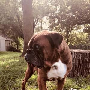 Meet your Posher, Steve